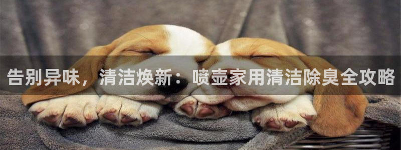 尊龙人生就是博旧版网址
