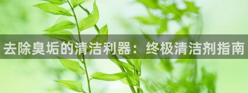 尊龙凯时登陆入口