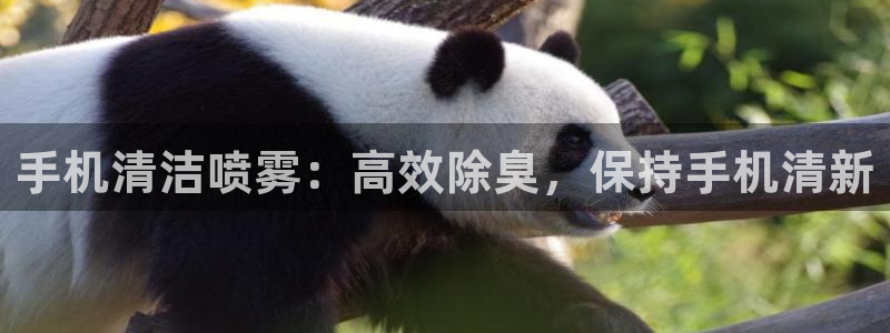 尊龙体育正规么