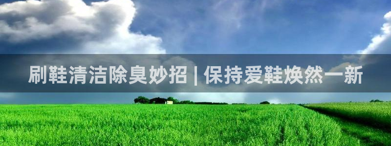 尊龙凯时和九游会哪个平台好一点：刷鞋清洁除臭妙招 | 保
