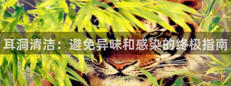 尊龙凯时人生就是博·(中国)官网最新