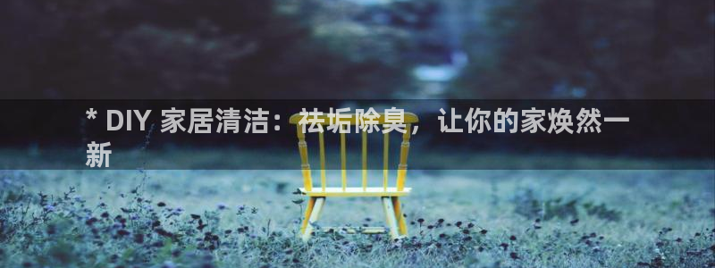 尊龙人生就是-首页：* DIY 家居清洁：祛垢除臭，让你