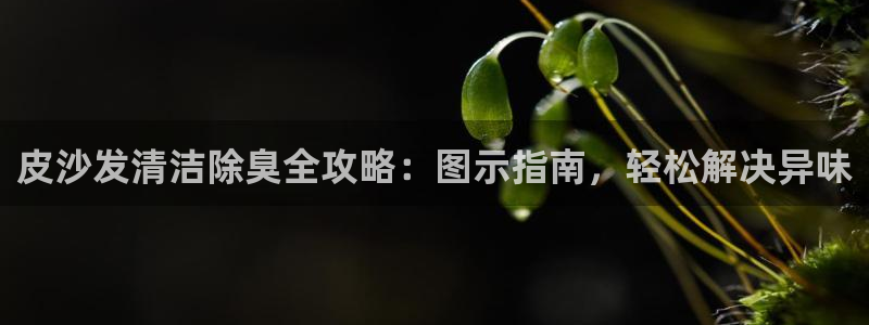 尊龙体育游戏平台