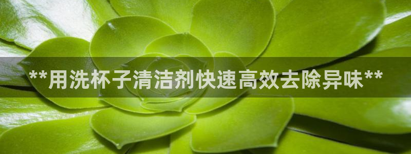 尊龙凯时平台还是万博好