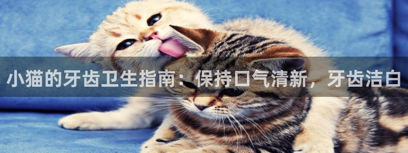 尊龙官方网站最新版V9.3.06介绍