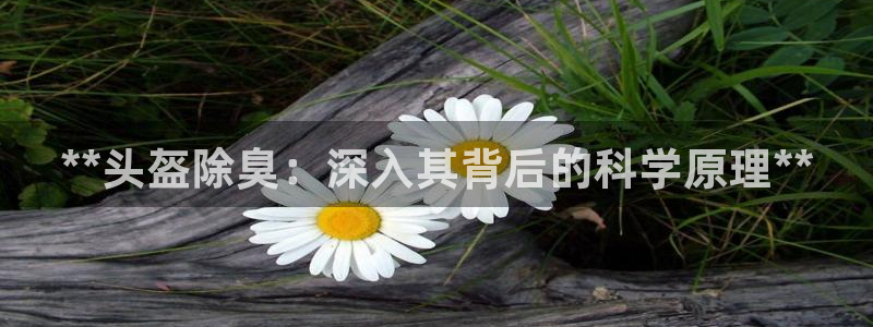 z6com尊龙凯时代理