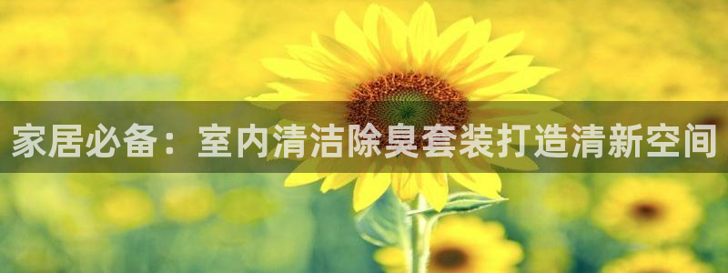 尊龙人生就是博旧版现金娱乐一下