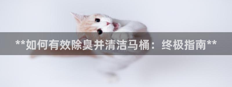 尊龙负面新闻：**如何有效除臭并清洁马桶：终极指南**