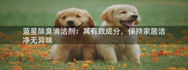尊龙凯时网娱乐官网