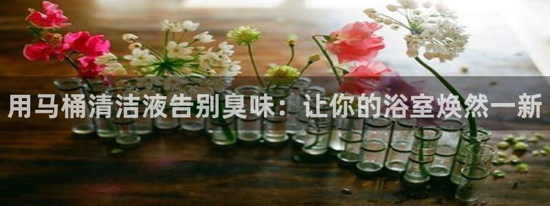 凯时kb88会员登录：用马桶清洁液告别臭味：让你的浴室焕