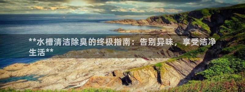 尊龙凯时官网版登录：**水槽清洁除臭的终极指南：告别异味