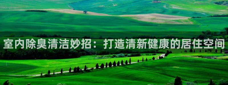 尊龙游戏官网游戏特色