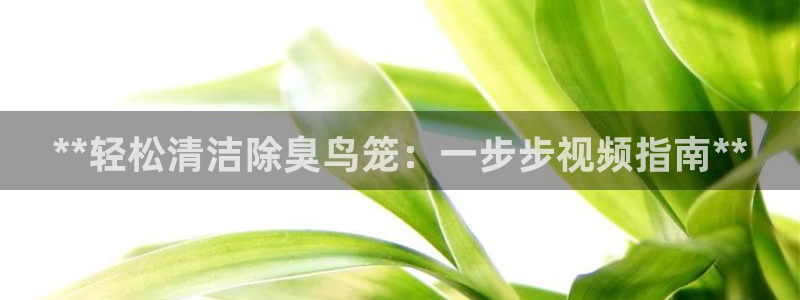 尊龙网址苹果版下载