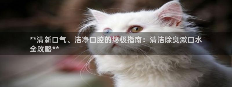 尊龙集团有限公司招聘
