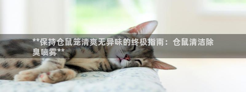 z6尊龙官网平台下载：**保持仓鼠笼清爽无异味的终极指南