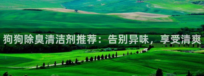 凯时平台登录：狗狗除臭清洁剂推荐：告别异味，享受清爽
