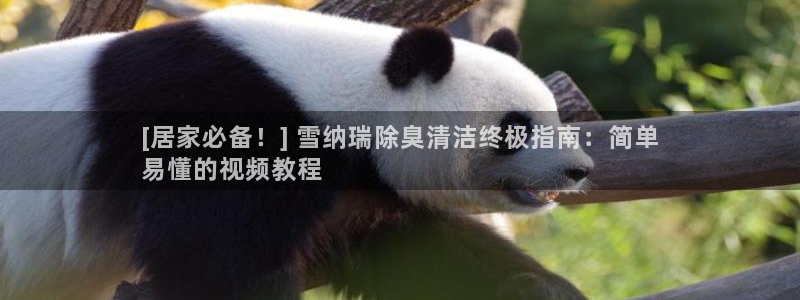 尊龙凯时白家乐Abb下载