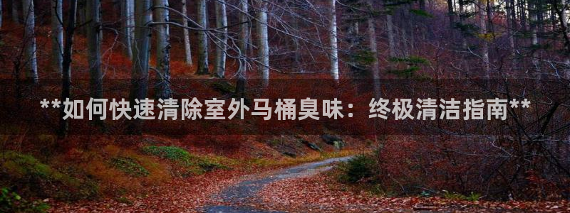 尊龙登录首页：**如何快速清除室外马桶臭味：终极清洁指南