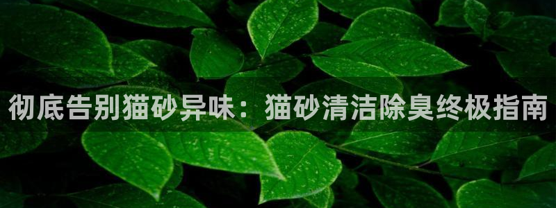 尊龙凯时是直营吗