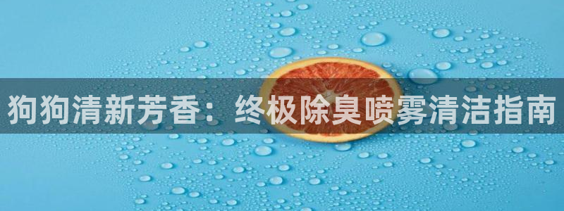 尊龙是什么软件