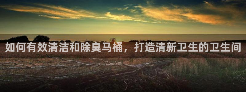 尊龙凯时电竞注册：如何有效清洁和除臭马桶，打造清新卫生的