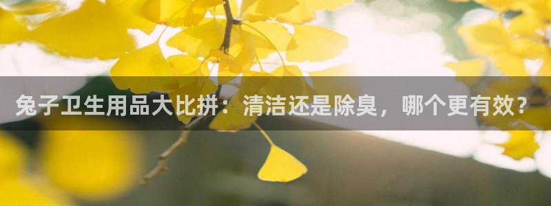 尊龙官网网页版