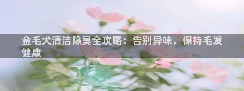 尊龙网站登录：金毛犬清洁除臭全攻略：告别异味，保持毛发
