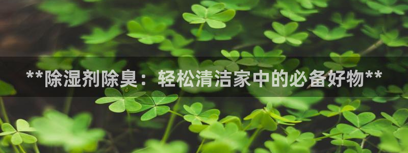 z6尊龙z6