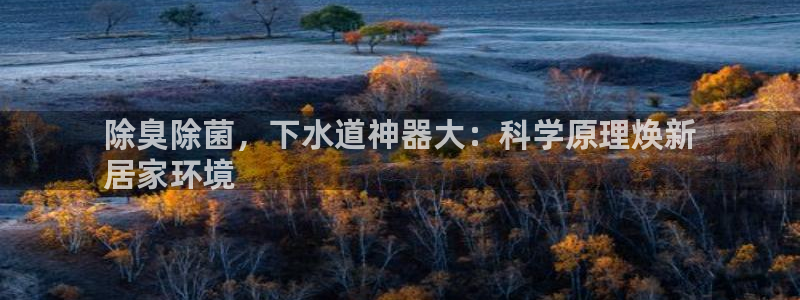 凯时国际最新