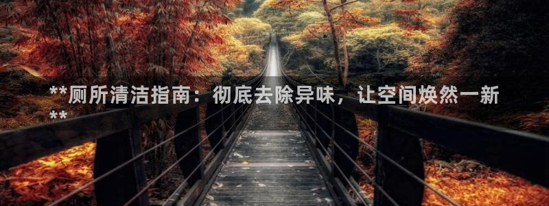尊龙凯时人生就是搏包装优势