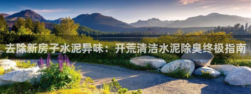 旧版尊龙人生就是博下载：去除新房子水泥异味：开荒清洁水泥