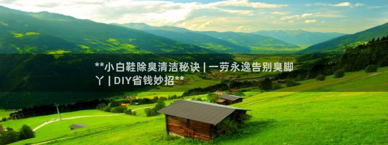 凯时尊龙平台登录：**小白鞋除臭清洁秘诀 | 一劳永逸告