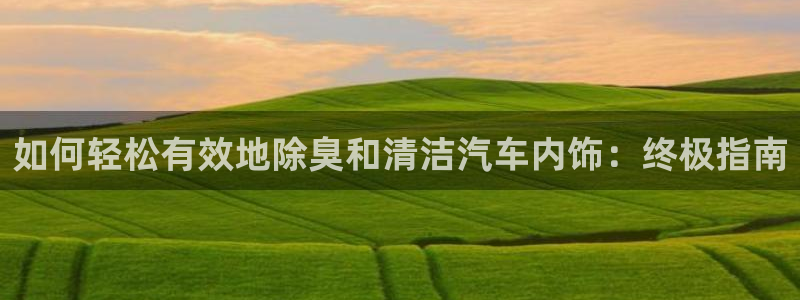 z6尊龙凯时旗舰厅：如何轻松有效地除臭和清洁汽车内饰：终