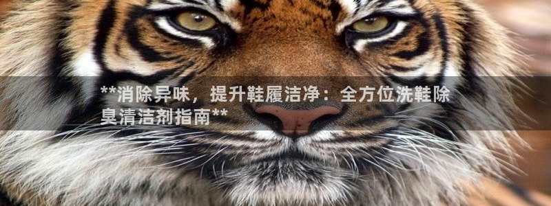 尊龙凯时网站首页手机登录：**消除异味，提升鞋履洁净：全