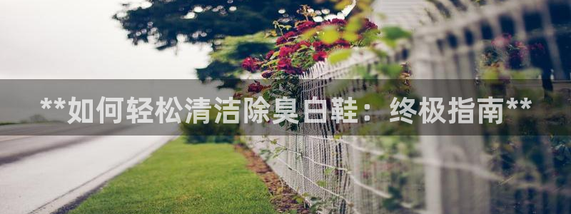 尊龙凯时台子