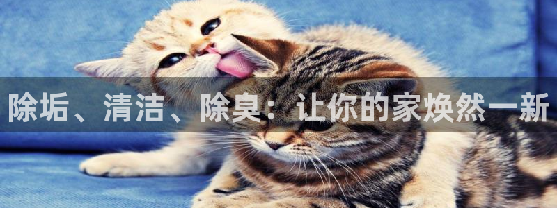 尊龙凯时合法吗?