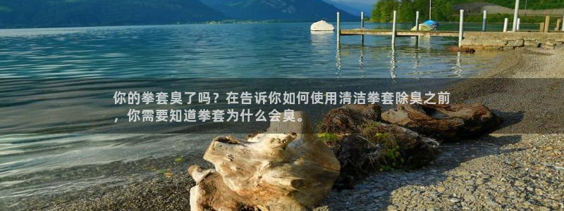 凯时国际网站域名