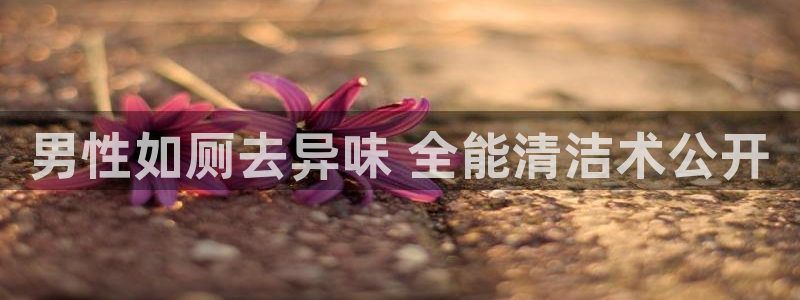 尊龙app怎么样