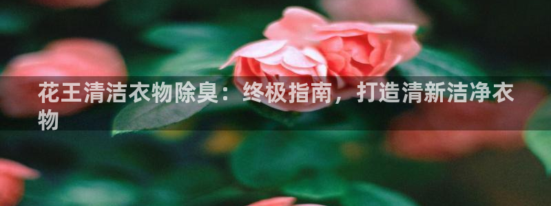 下载凯时AG旗舰厅首页
