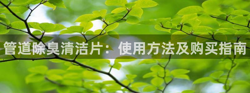 尊龙官方网址