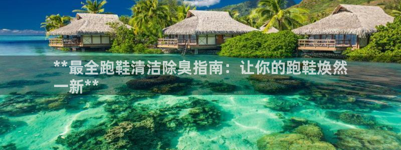 尊龙凯时下载人生就是博