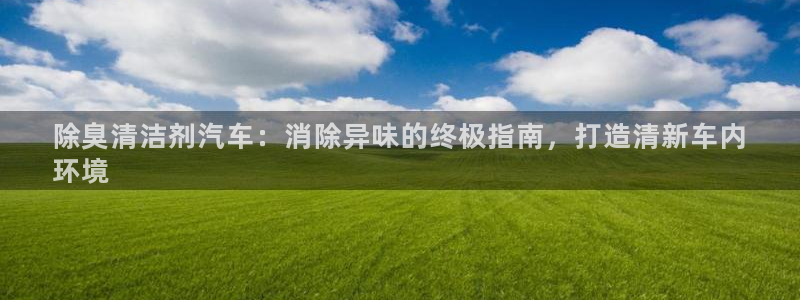 kb88凯时唯一官网注册：除臭清洁剂汽车：消除异味的终极