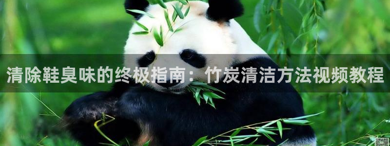 尊龙在线登录官网：清除鞋臭味的终极指南：竹炭清洁方法视频