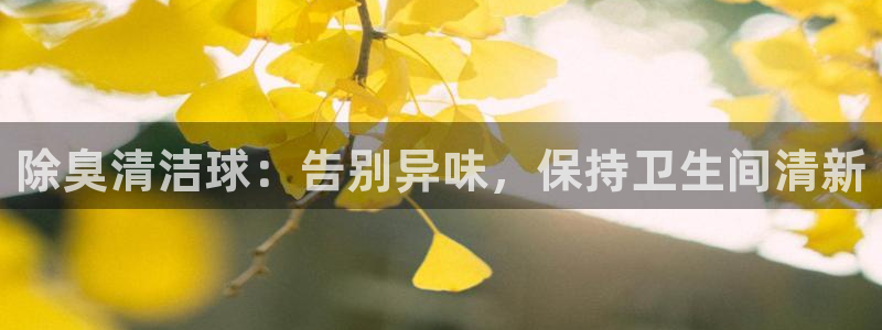尊龙注册码：除臭清洁球：告别异味，保持卫生间清新