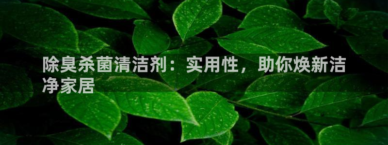 尊龙凯时人生就是搏技术实力