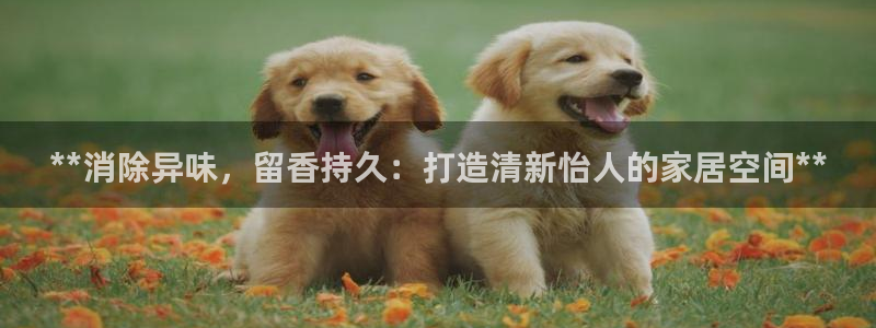 尊龙官网地址