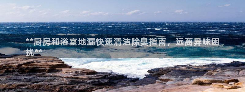 d88尊龙官网手机app