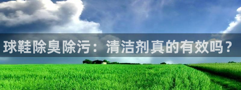 尊龙d88官网登录：球鞋除臭除污：清洁剂真的有效吗？