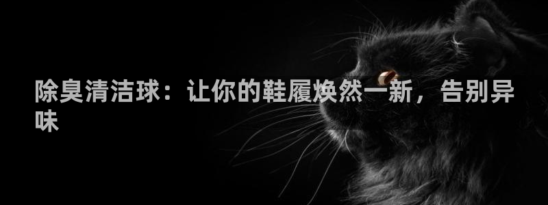 尊龙尊龙