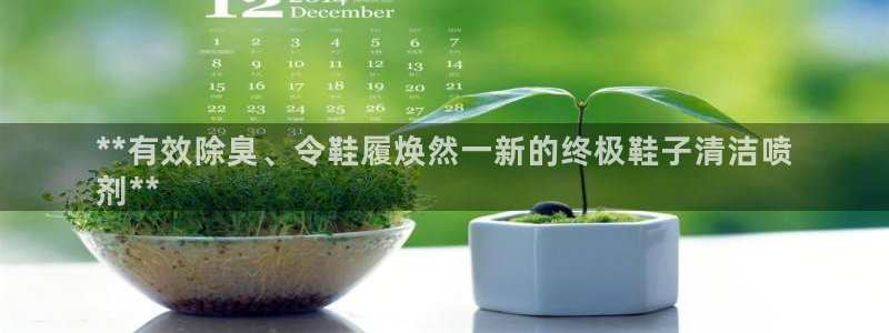 凯时国际app首页下载